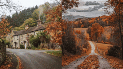 Charming village and country road in vibrant autumn foliage, capturing the essence of a peaceful seasonal landscape.