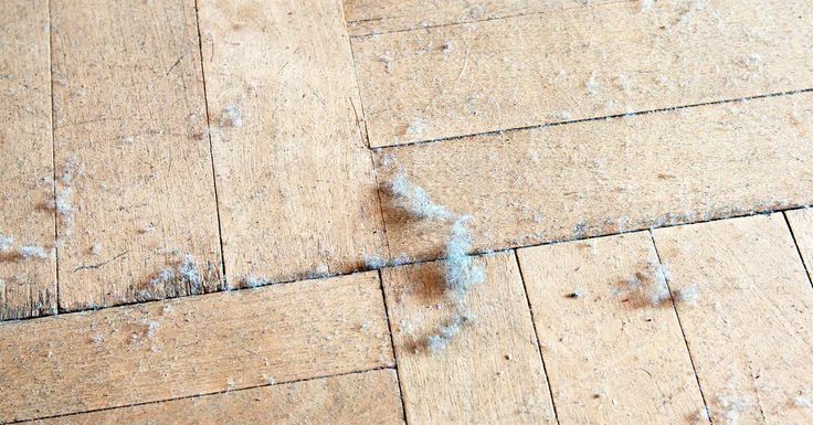 Dust bunnies on a wooden floor, highlighting the need for regular cleaning and maintenance to ensure a tidy home.