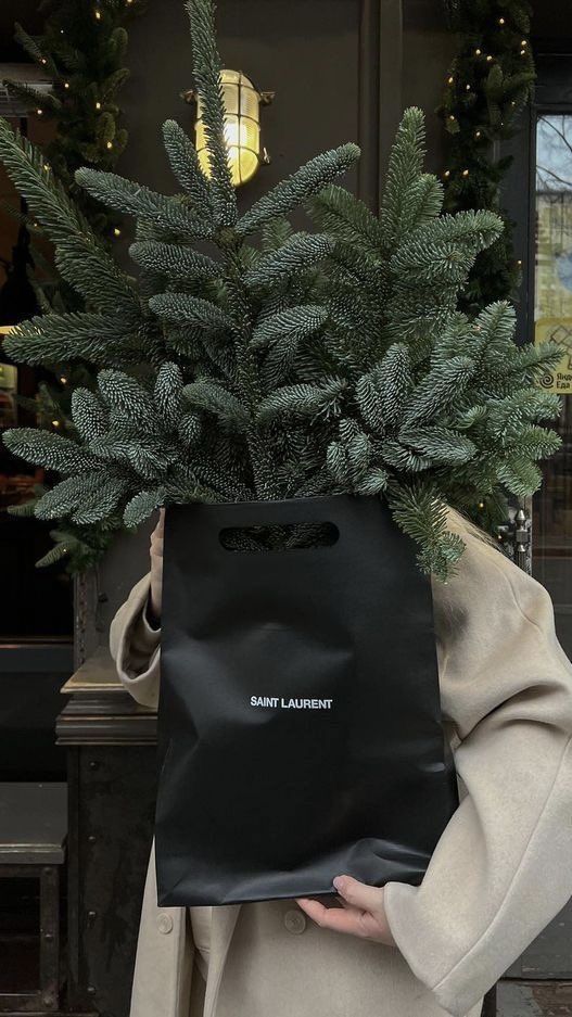 Winter Aestetics_✨🌲 Person holding a potted evergreen tree in a black Saint Laurent bag, wearing a beige coat, outside a festive storefront. | Sky Rye Design Person holding a potted evergreen tree in a black Saint Laurent bag, wearing a beige coat, outside a festive storefront.