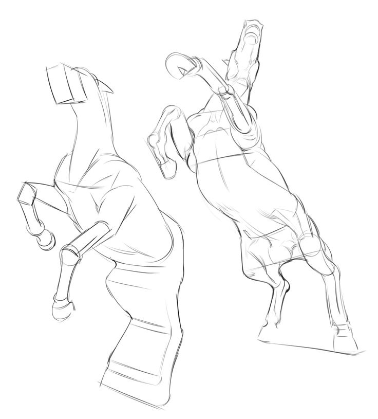 aa7d49fbd996a72f84cf4be390e7fd9d Sketch of two rearing horses, highlighting dynamic motion and anatomy in line art style. | Sky Rye Design Sketch of two rearing horses, highlighting dynamic motion and anatomy in line art style.