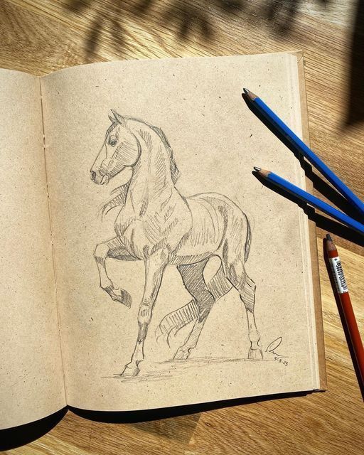 ace6e4d1695e48b3bbf422a4533c0f80 Pencil sketch of a prancing horse on an open notebook, with colored pencils on a wooden surface. | Sky Rye Design Pencil sketch of a prancing horse on an open notebook, with colored pencils on a wooden surface.