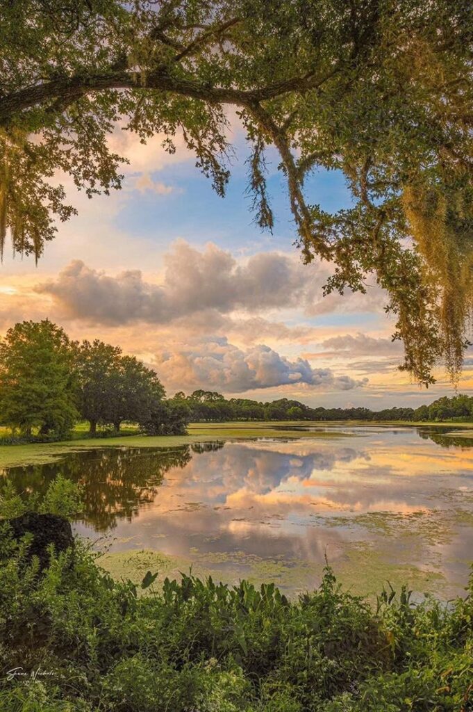 Serene lake at sunset reflecting colorful sky, surrounded by lush greenery and hanging moss.