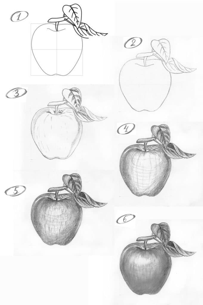 Apple drawing tutorial: Step-by-step guide from sketch to detailed shading with leaves.