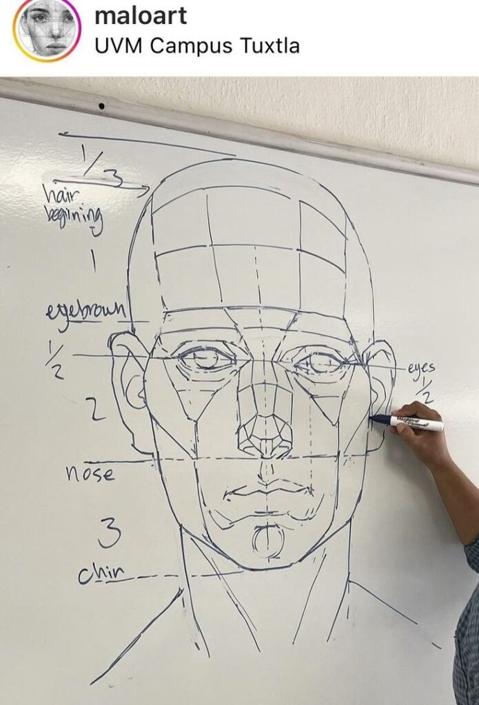 Art anatomy drawing on whiteboard at UVM Campus Tuxtla, showing facial proportions for artistic study.