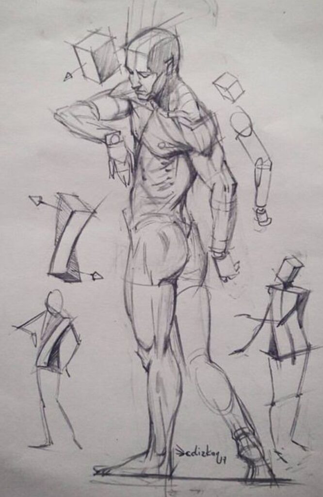 Pencil sketch of a muscular human figure with anatomical and geometric studies, showcasing artistic techniques.