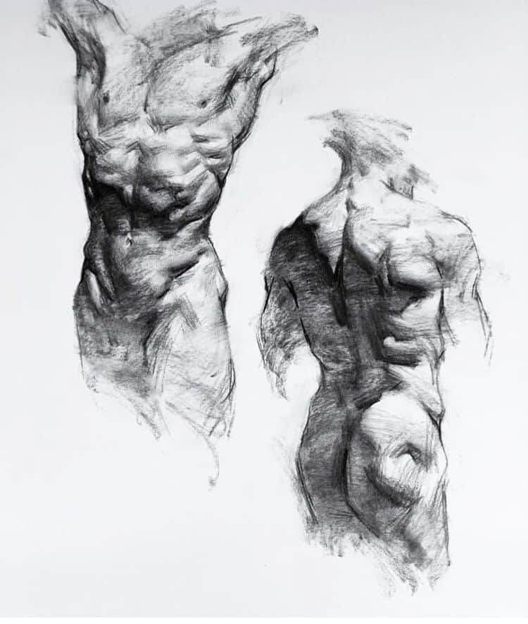 Charcoal sketch of two muscular male torsos, showcasing detailed anatomy and artistic shading techniques.