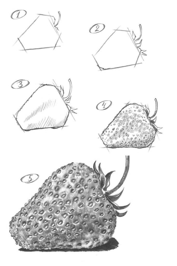 Step-by-step sketching guide of a strawberry from basic shapes to detailed drawing.