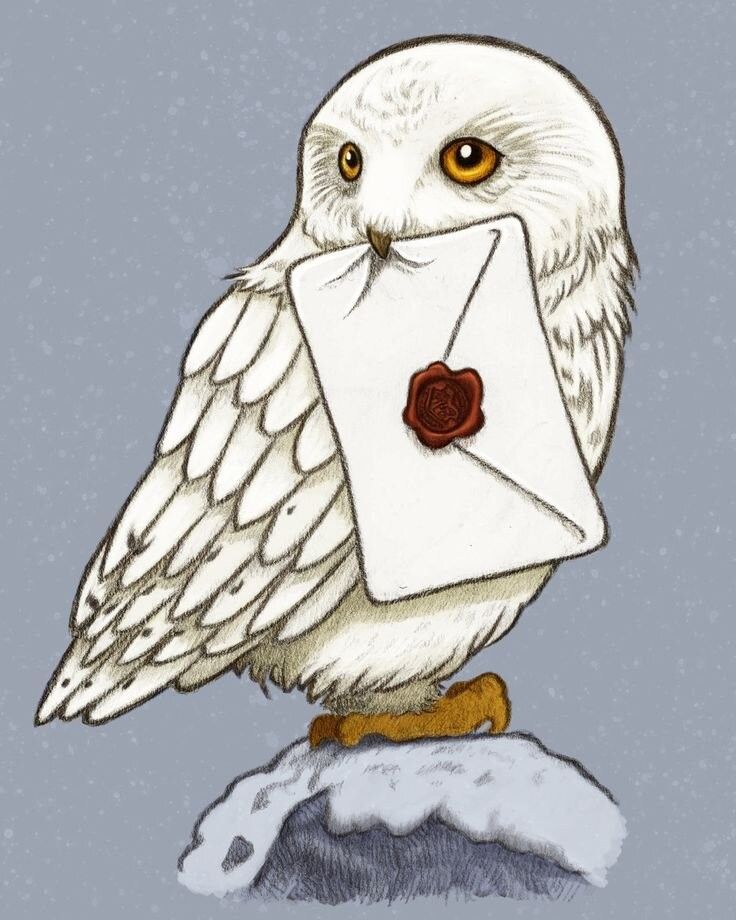 c0e338eb-7fe6-4faa-a078-eafe7493fb0a Illustrated white owl with a sealed letter in beak, perched on snowy rock against gray background. | Sky Rye Design Illustrated white owl with a sealed letter in beak, perched on snowy rock against gray background.