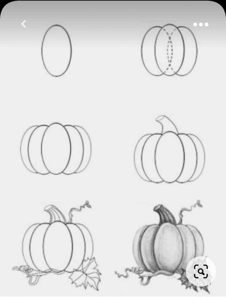 c6fb9d94-d6fe-4ccd-a3b3-8f36257af7c3 Step-by-step guide to drawing a pumpkin: from basic shapes to detailed sketch, complete with leaves and shading. | Sky Rye Design Step-by-step guide to drawing a pumpkin: from basic shapes to detailed sketch, complete with leaves and shading.