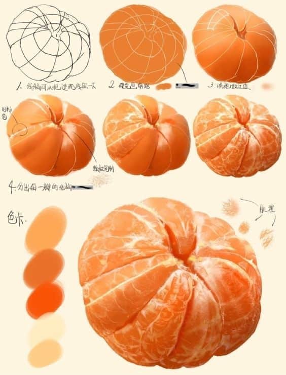 Illustrated guide showing the step-by-step drawing process of a peeled orange, with color swatches for shading.