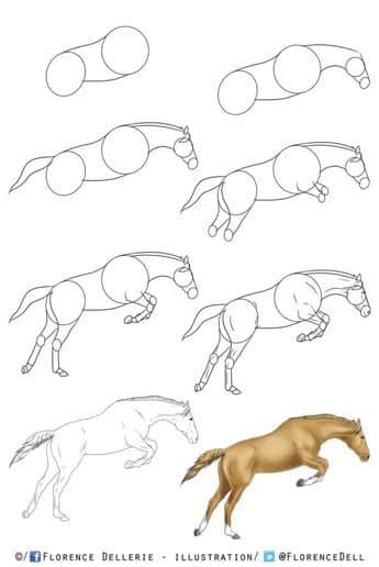 ccafc83bd195178eef97fb0f2bb7ecd3 Step-by-step horse drawing tutorial, from basic shapes to colored illustration. | Sky Rye Design Step-by-step horse drawing tutorial, from basic shapes to colored illustration.