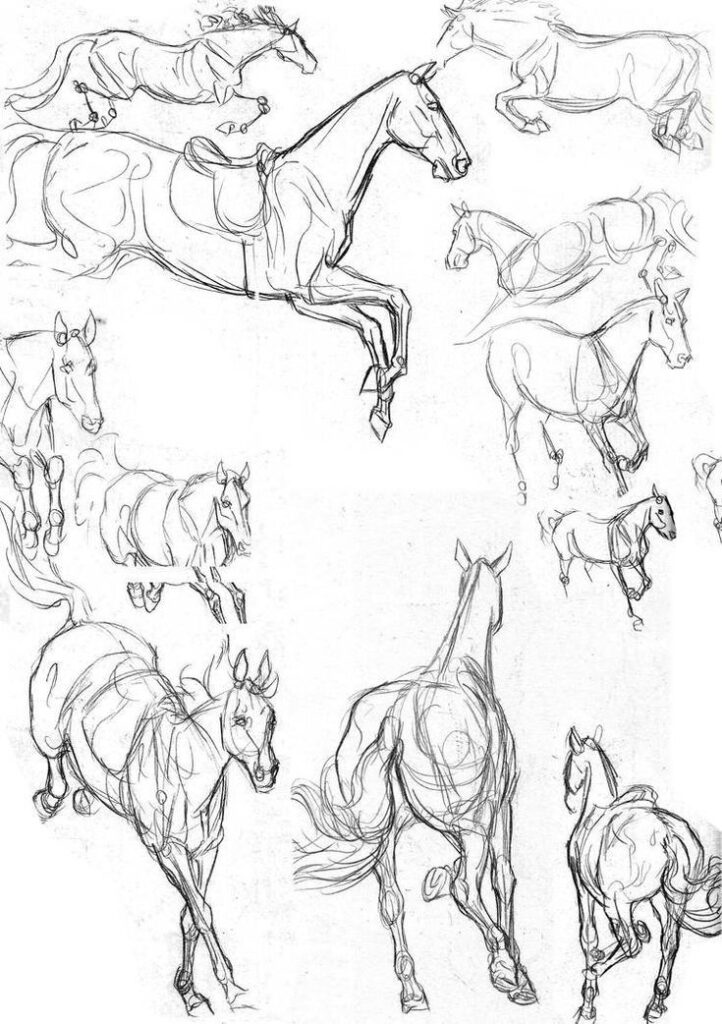 ce9b1808c6caaafed4dd182f98b92071 Sketches of galloping horses, showcasing dynamic motion and anatomy in a detailed pencil drawing. | Sky Rye Design Sketches of galloping horses, showcasing dynamic motion and anatomy in a detailed pencil drawing.