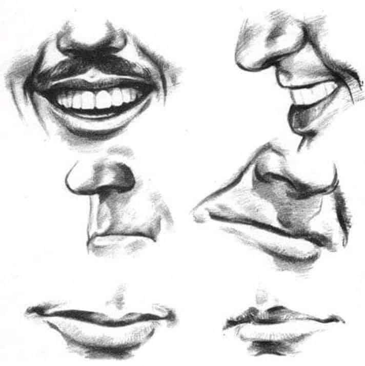 Sketch of various smiles and noses, in pencil drawing style, showcasing different expressions and angles.