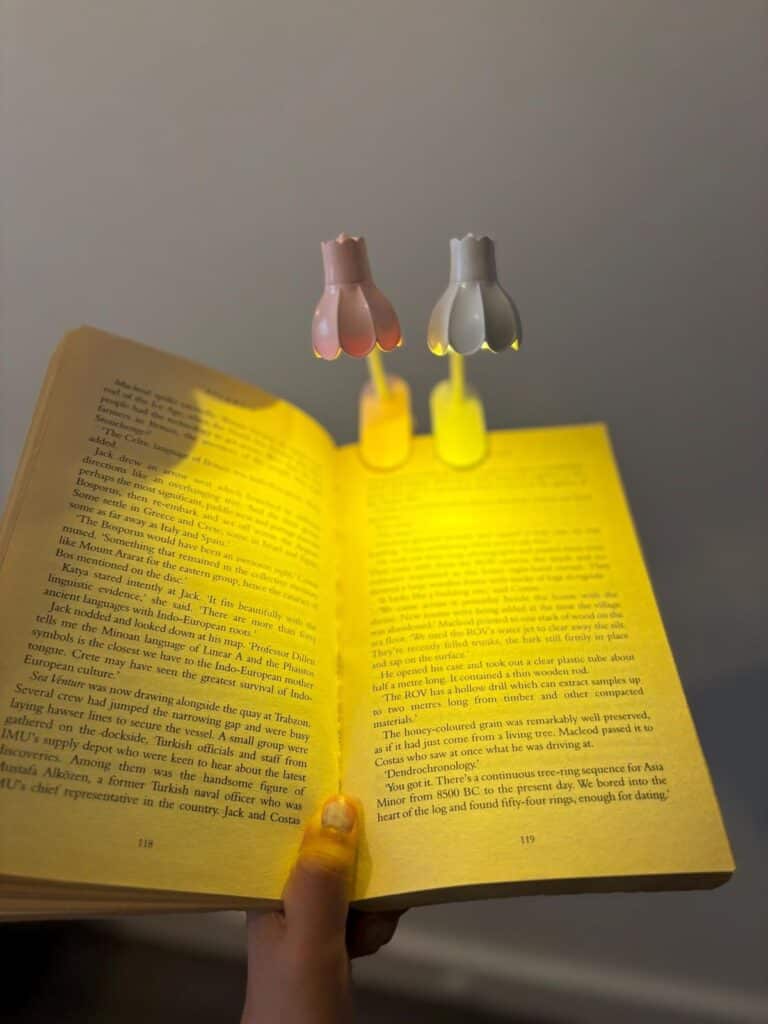 f27f7032ca1a224f2024d827e11ec38d Open book illuminated by flower-shaped lights, highlighting text. Cozy reading ambiance. | Sky Rye Design Open book illuminated by flower-shaped lights, highlighting text. Cozy reading ambiance.