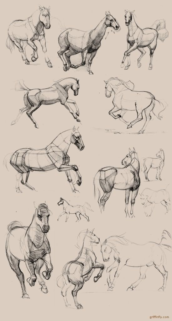 f441e179cd4249f02193204beb9ef448 Sketches of various horses in motion, showcasing anatomy and movement in different poses on a neutral background. | Sky Rye Design Sketches of various horses in motion, showcasing anatomy and movement in different poses on a neutral background.