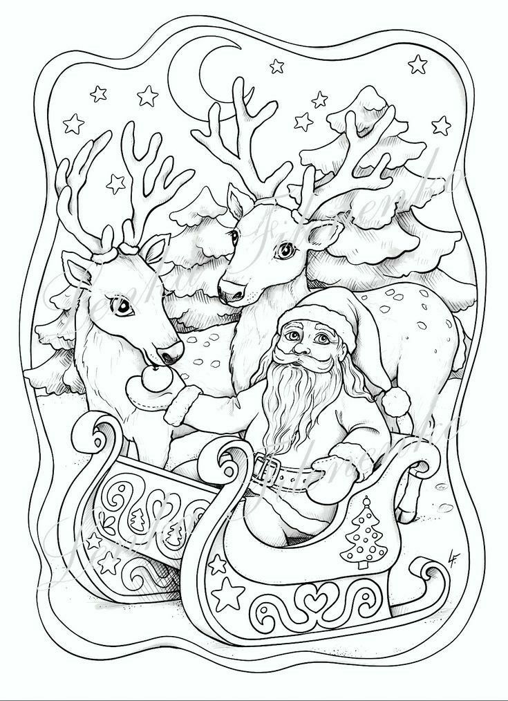 Santa in sleigh with two reindeer, surrounded by snowy trees, under a starry night sky. Coloring book page.