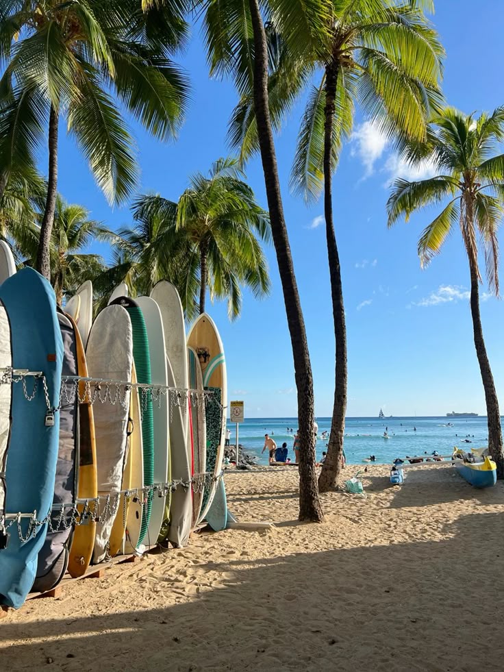 Surfboards on a sandy beach with palm trees and ocean in the background, perfect day for surfing and relaxation.