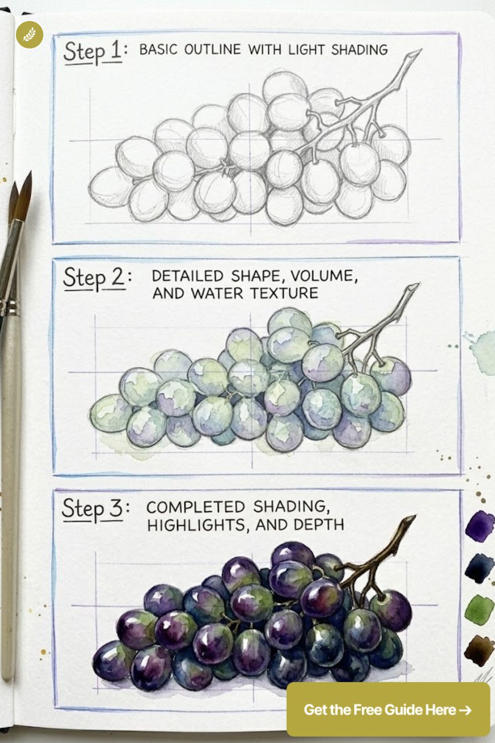 Watercolor grape tutorial: three steps from pencil sketch to color wash to finished shaded grapes with highlights.