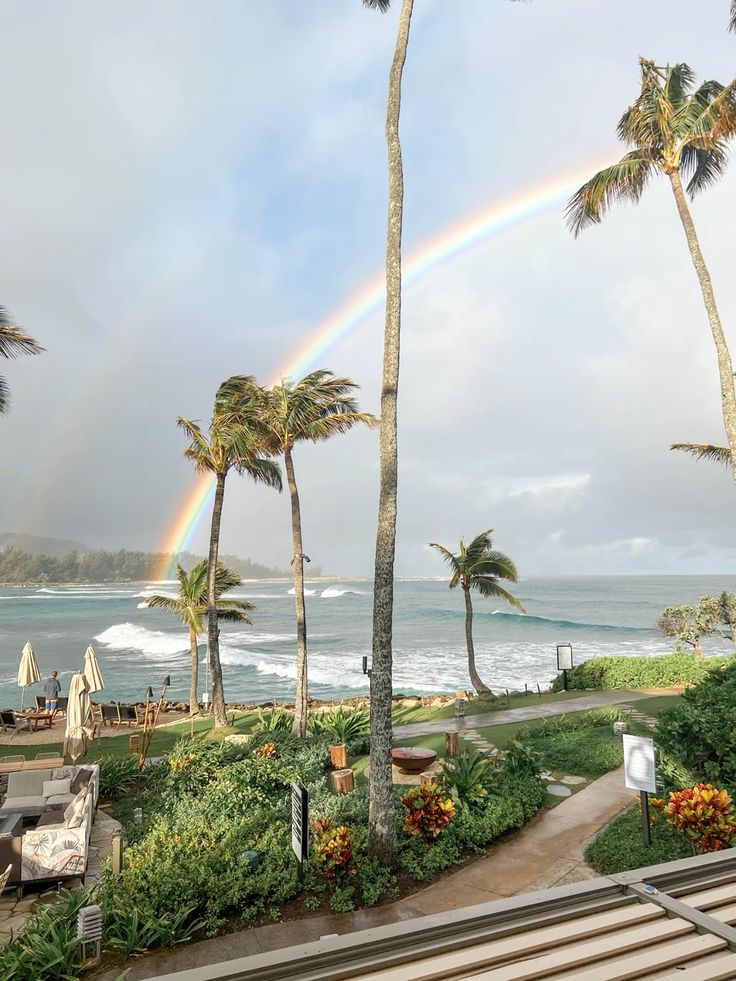 Tropical beach scene with palm trees and a vivid rainbow over the ocean waves.