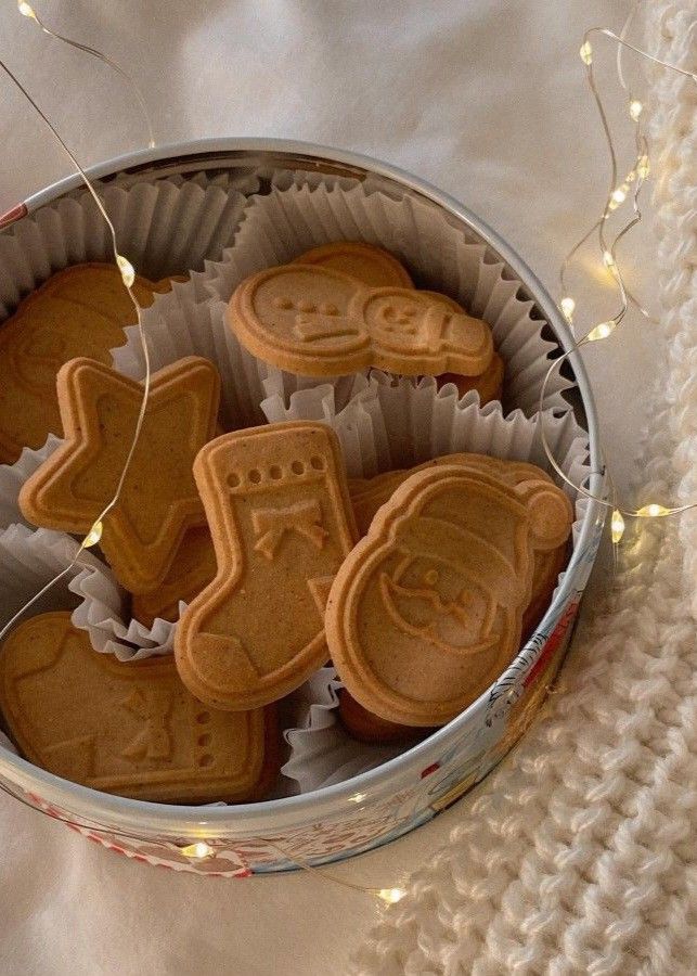Festive cookies in a tin with holiday designs, adorned with cozy fairy lights on a soft background.