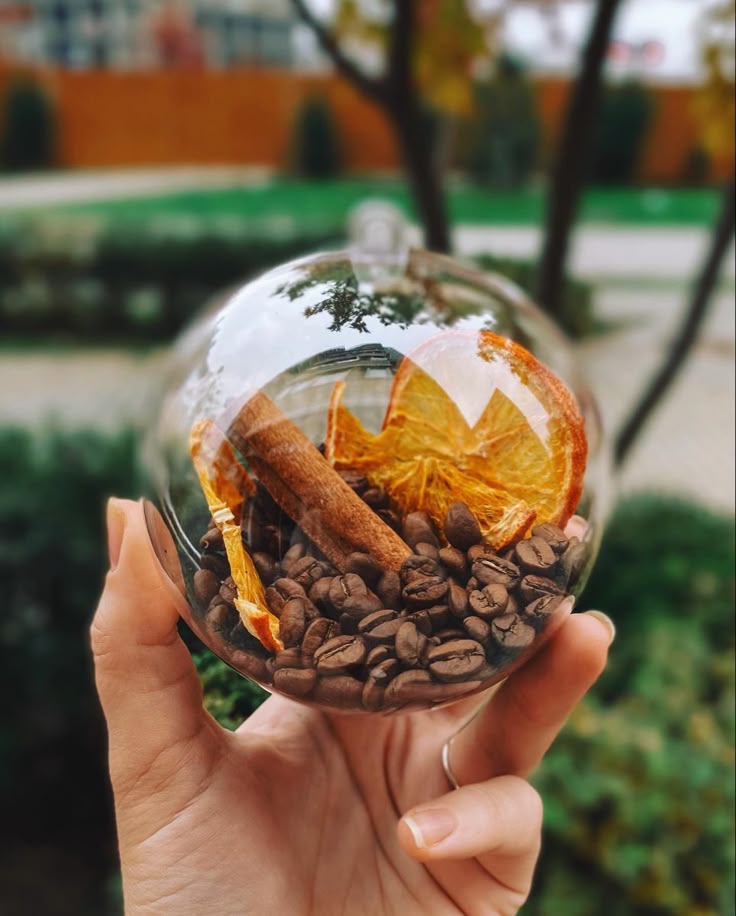 Декор для кофейни Glass ornament filled with coffee beans, dry orange slices, and a cinnamon stick, held outdoors. | Sky Rye Design Glass ornament filled with coffee beans, dry orange slices, and a cinnamon stick, held outdoors.