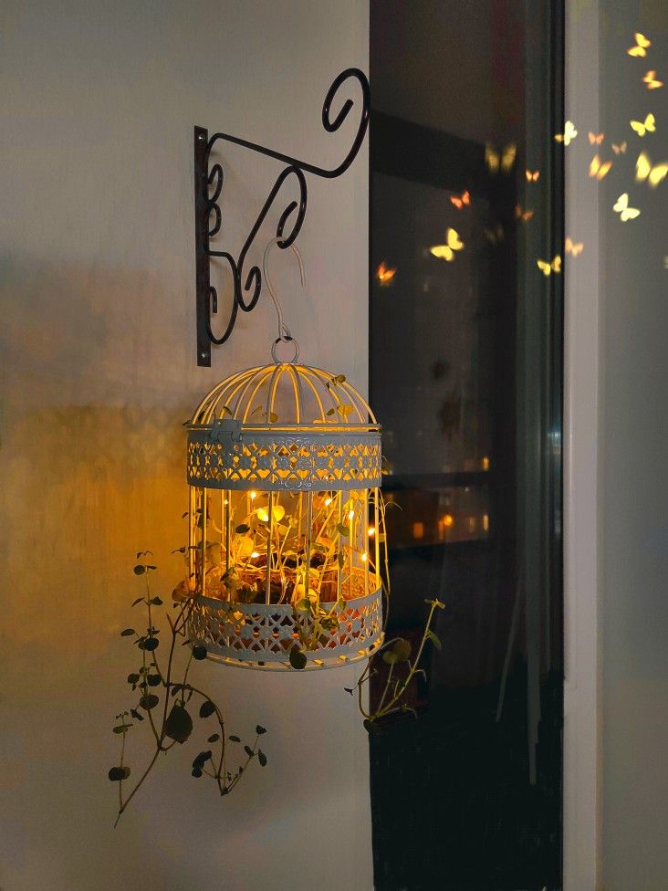Hanging lantern with glowing lights and plants, creating a cozy ambiance, against a dark background with soft light.
