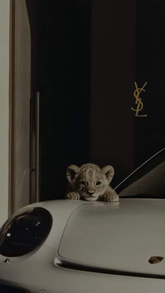 ыпиявуия A small lion cub playfully on a luxury car hood, with a YSL logo in the background, surrounded by shadows. | Sky Rye Design A small lion cub playfully on a luxury car hood, with a YSL logo in the background, surrounded by shadows.