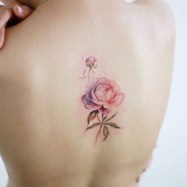 Delicate pink rose tattoo on back, showcasing realistic floral design with soft shading and intricate details.