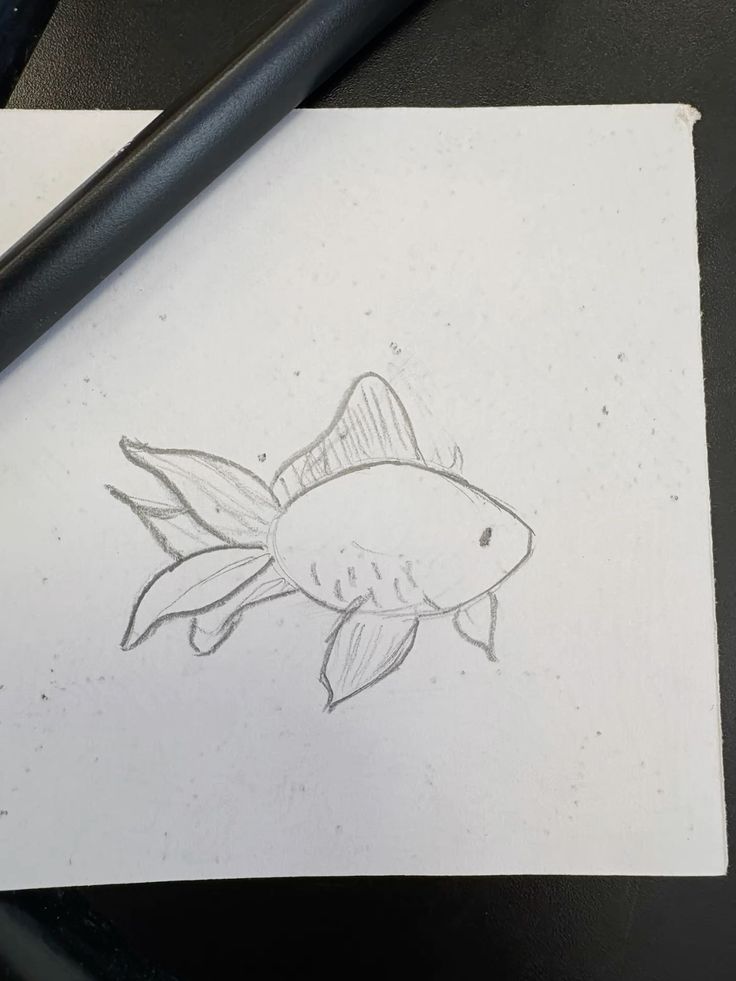 Black pencil drawing of a goldfish on white paper, featuring detailed fins and scales, with a pen nearby, on a dark background.