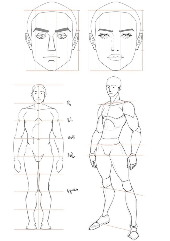 Anime character design sketches showing male and female faces and proportions, with front and angled views.