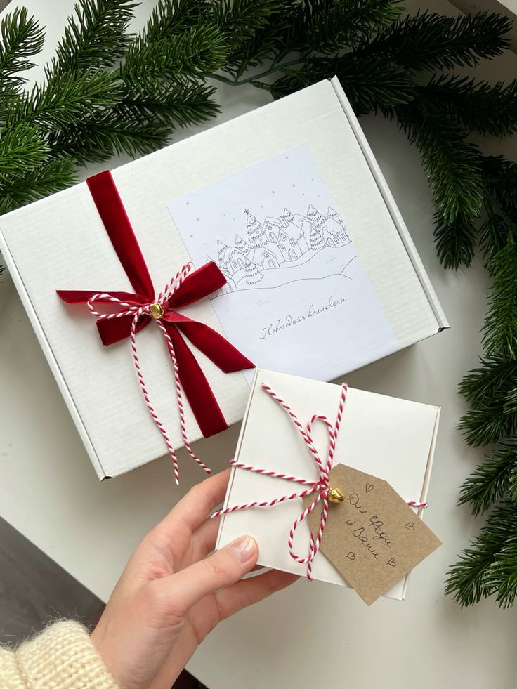 _ 12 Beautifully wrapped Christmas gift boxes with red and white ribbons, surrounded by evergreen branches on a white background. | Sky Rye Design Beautifully wrapped Christmas gift boxes with red and white ribbons, surrounded by evergreen branches on a white background.