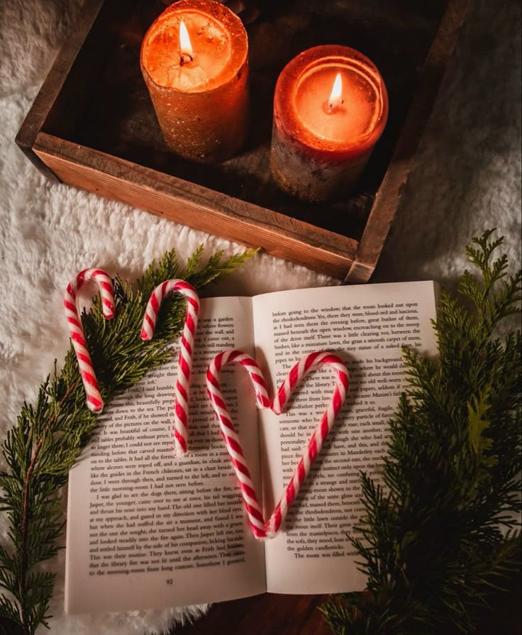 _ 14 Cozy winter scene with candles, fir branches, open book, and candy canes forming a heart on a soft, white textured background. | Sky Rye Design Cozy winter scene with candles, fir branches, open book, and candy canes forming a heart on a soft, white textured background.