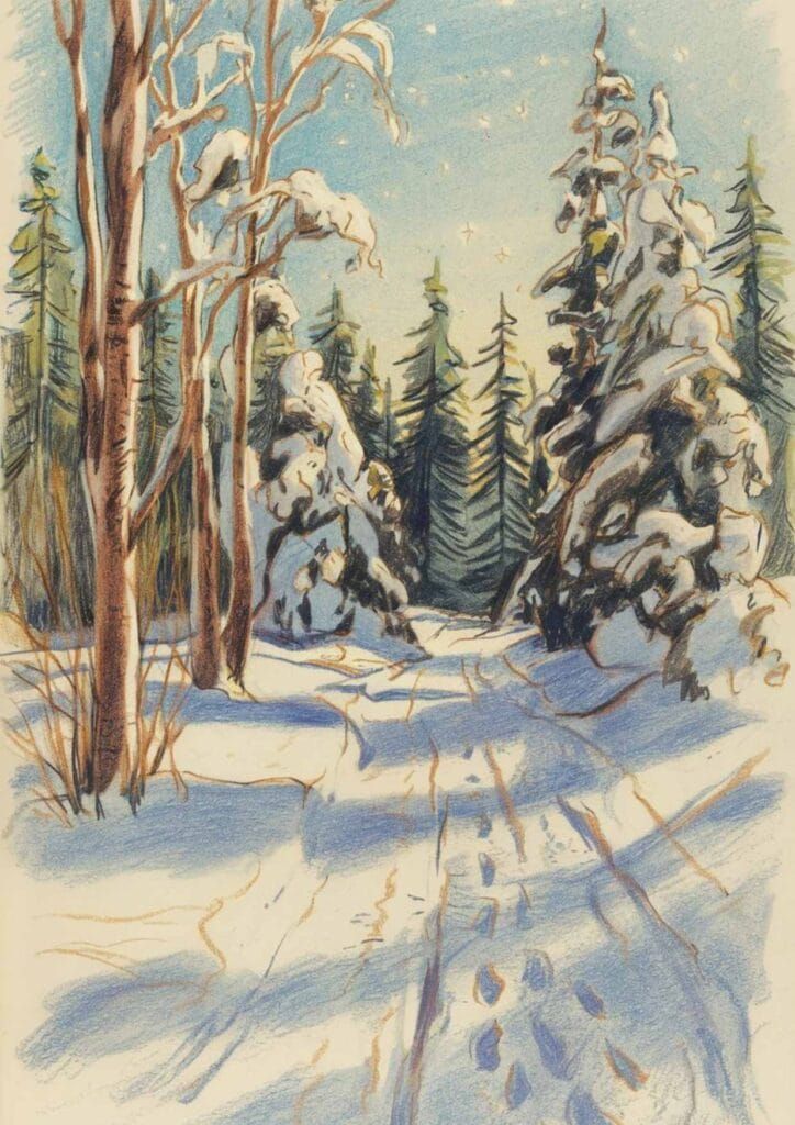 150 Wonderful Winter things to Draw - Artsydee - Drawing Painting Craft Creativity Snowy forest path under a starlit sky, surrounded by tall, snow-covered pine trees and bare branches in a serene winter scene. | Sky Rye Design Snowy forest path under a starlit sky, surrounded by tall, snow-covered pine trees and bare branches in a serene winter scene.