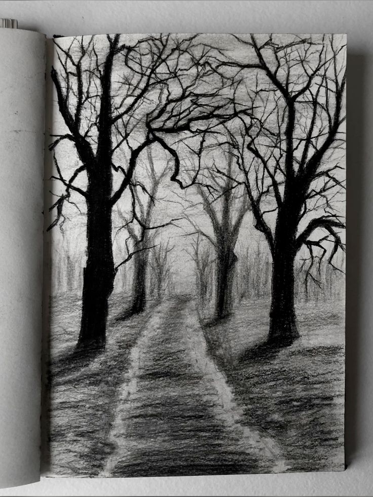 Charcoal drawing of a foggy forest path lined with bare trees, creating a mysterious and eerie atmosphere.