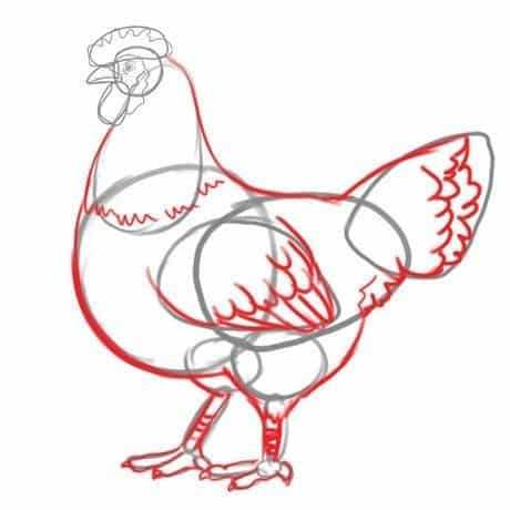 Step-by-step chicken drawing guide in progress, highlighting basic shapes and detailed outlines for beginners and art enthusiasts.