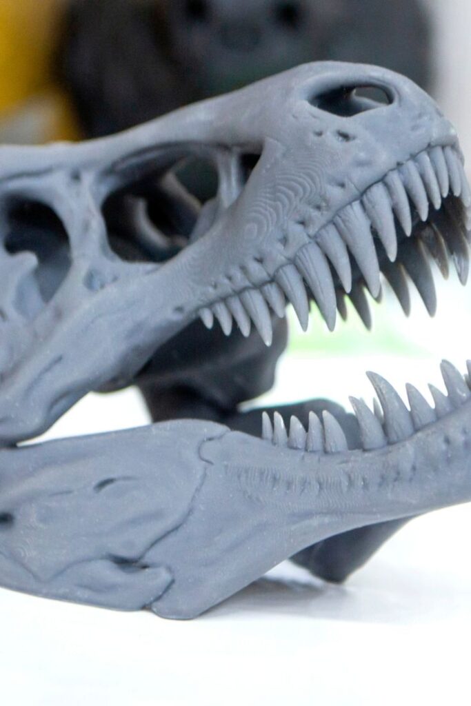 _ 2 Close-up of a gray dinosaur skull model showcasing detailed teeth and bone structure, ideal for paleontology and history enthusiasts. | Sky Rye Design Close-up of a gray dinosaur skull model showcasing detailed teeth and bone structure, ideal for paleontology and history enthusiasts.