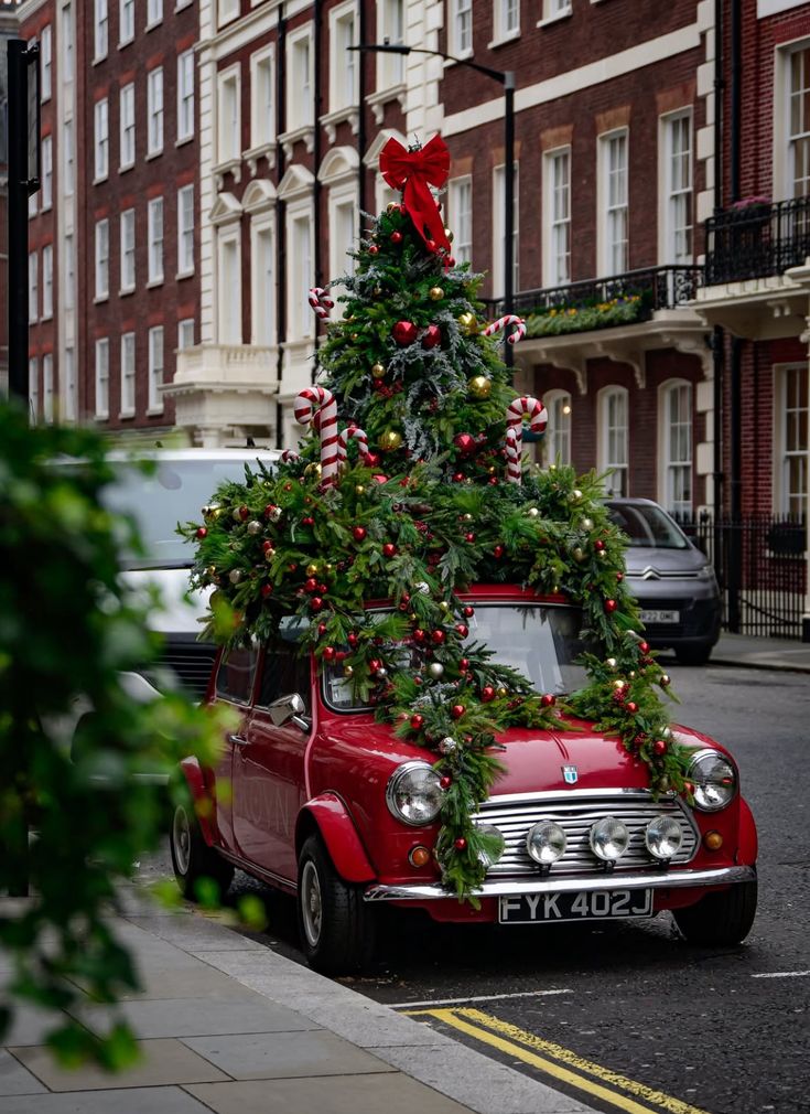 _ 20 | Sky Rye Design