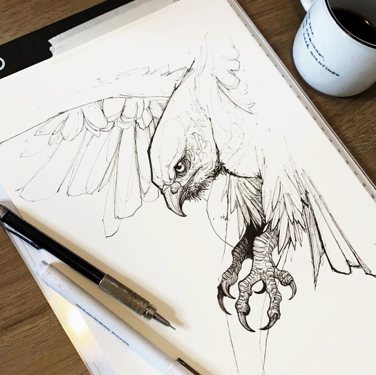 Detailed eagle sketch in progress with pens on paper, coffee mug nearby. Ideal for art inspiration and drawing techniques.