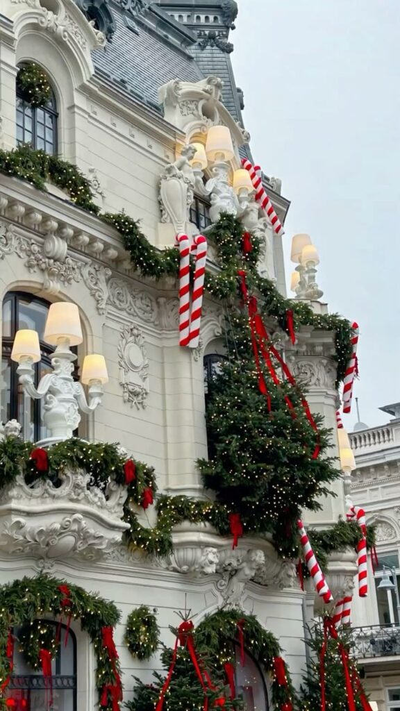 _ 26 | Sky Rye Design