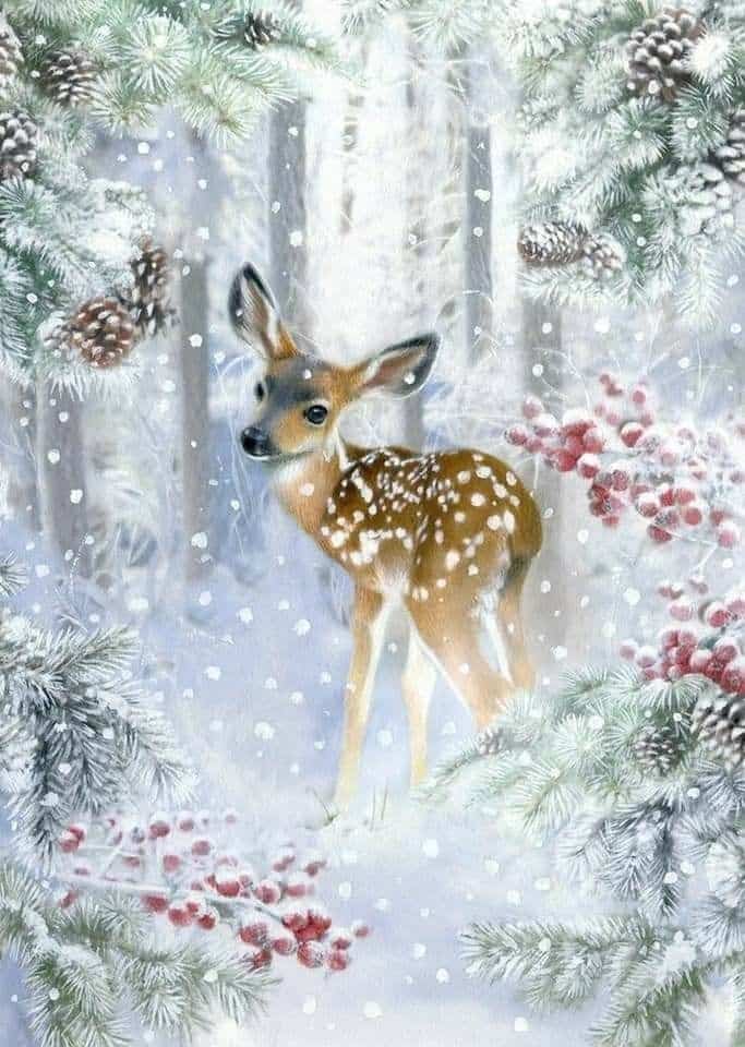 _ 29 Young deer in a snowy forest surrounded by pine branches and red berries, creating a serene winter scene. | Sky Rye Design Young deer in a snowy forest surrounded by pine branches and red berries, creating a serene winter scene.