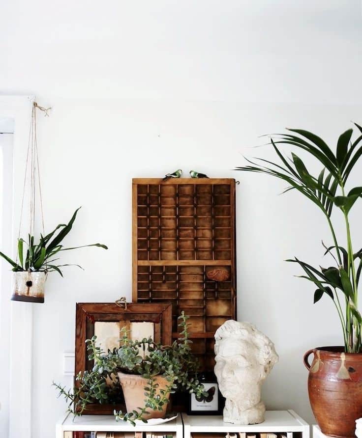 _ 29 Indoor decor: hanging and potted plants, vintage wall organizer, artistic bust, and framed artwork on a white shelf. | Sky Rye Design Indoor decor: hanging and potted plants, vintage wall organizer, artistic bust, and framed artwork on a white shelf.