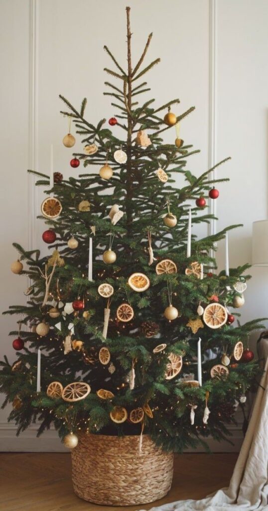 _ 37 Eco-friendly Christmas tree with dried orange slices, candles, and red ornaments in a wicker basket. | Sky Rye Design Eco-friendly Christmas tree with dried orange slices, candles, and red ornaments in a wicker basket.