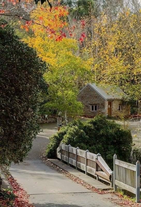Cozy stone cottage amidst vibrant autumn foliage and a quaint wooden bridge creating a serene countryside scene.