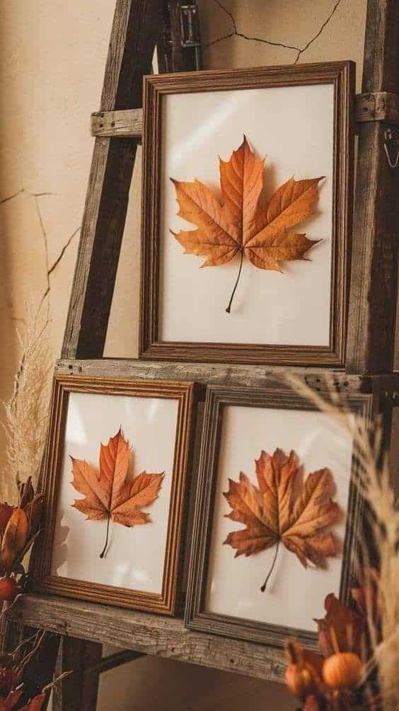 Framed autumn leaves on a rustic ladder display evoke a cozy, seasonal decor, highlighting natural beauty and warm tones in home design.