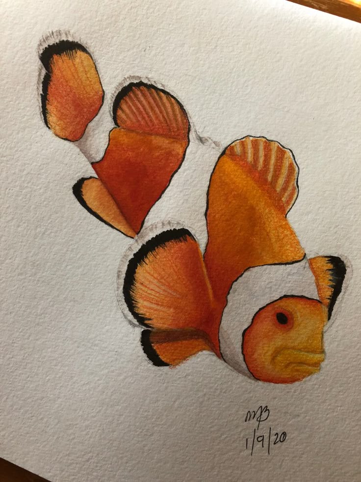 Watercolor painting of a vibrant orange clownfish with characteristic white stripes and black accents on textured paper.