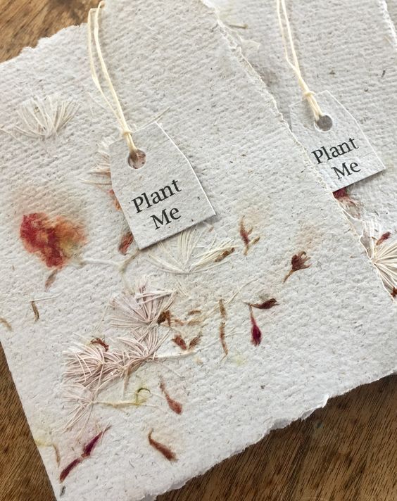 _ 56 Eco-friendly seed paper tags with Plant Me text on textured paper, embedded with seeds for sustainable planting. | Sky Rye Design Eco-friendly seed paper tags with Plant Me text on textured paper, embedded with seeds for sustainable planting.