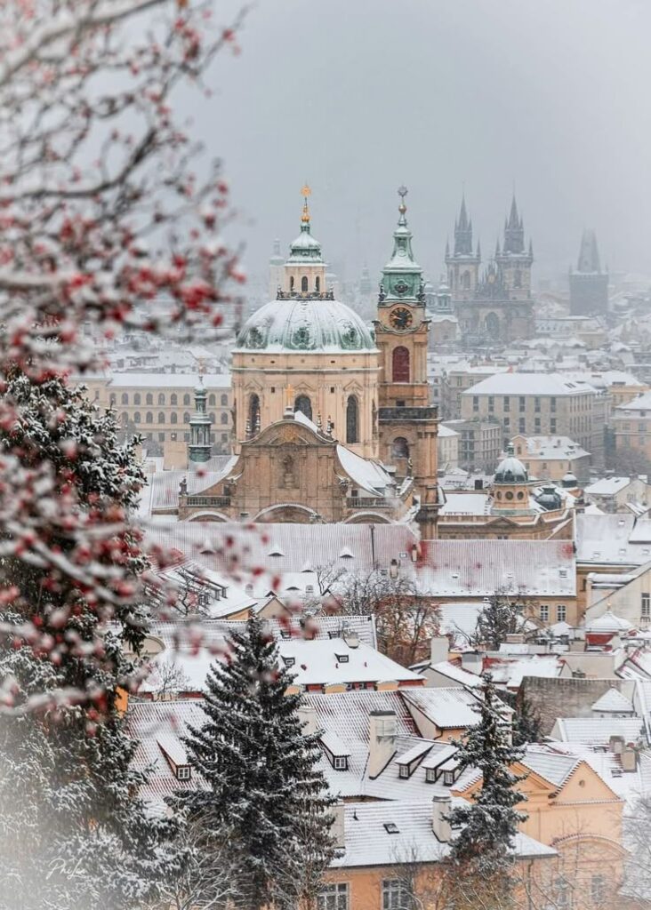 Snow-covered cityscape with historic domes and spires, framed by frosty branches in winter.