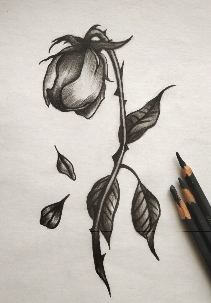 Charcoal sketch of a rosebud with leaves and petals, alongside black pencils on paper, showcasing artistic detail and shading.