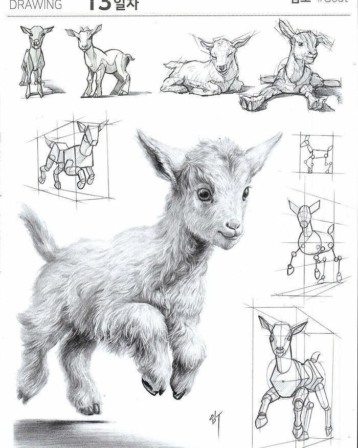 Pencil sketch of a playful goat with various drawing techniques and pose studies, showcasing artistic progress and anatomy.