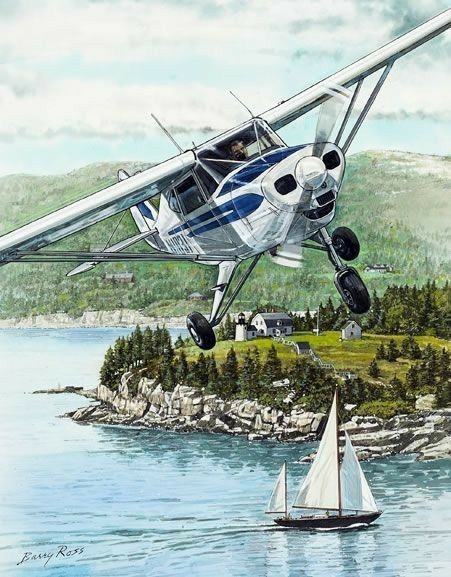 Small plane flying over a scenic coastal landscape with a sailboat below and green hills in the background.